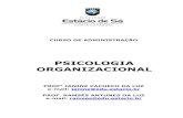 Psicologia nas organizacoes