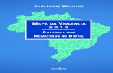 Mapa da Violência 2010 - A Anatomia dos Homicídios no Brasil