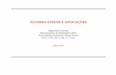 Livro de algebra linear   cópia