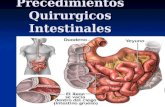 Copia de precedimientos quirurgicos intestinales 2010