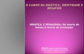 Didatica e Pedagogia - Maria Amélia