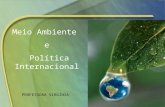 Meio Ambiente E PolíTica Internacional