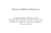 Vírus e reino monera[1]