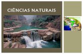 Ciências naturais 7   rochas sedimentares (processos)