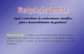Manipulação genética   aula 25
