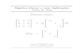 Álgebra Linear e Suas Aplicações - Prof. Petrönio Polino - Capítulo 7