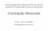 Contração Muscular _(2_)