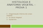 Histologia e anatomia vegetal – prova 1