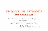 PESQUISA DE PATOLOGIA SUPRARRENAL VI Curso de Endocrinología y Diabetes para médicos generales SOCHED Dr. José Adolfo Rodríguez P.