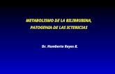 Dr. Humberto Reyes B. METABOLISMO DE LA BILIRRUBINA, PATOGENIA DE LAS ICTERICIAS.