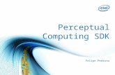 Perceptual Computing SDK - TDC Florianópolis
