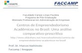 Centros de Empreendedorismo Academicos no Brasil