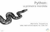 Python: a primeira mordida