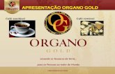APRESENTAÇÃO ORGANO GOLD BRASIL 4