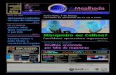 Jornal da Mealhada - n.º 681 – 05.03.2008