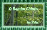83 O Bambu ChinêS2