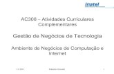Ac308 ambiente de computação e internet 2 s 2013
