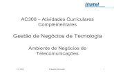 Ac308 ambiente de negócios de telecomunicações 2 s 2011