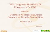 XIV CBE - MESA 4 - Roberto Esteves - 24 outubro 2012