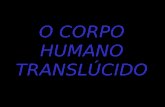 Corpo humano-translucido
