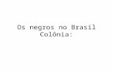 Os negros no brasil colônia