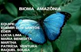 Slide Bioma Amazonia Para O Dia 02 De Outubro