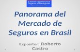 Panorama del Mercado de Seguros en Brasil Expositor: Roberto Castro.