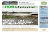 6ºEdição-Jornal Do Quintal