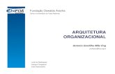 GP - Arquitetura Organizacional