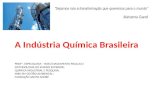 A Indústria Química no Brasil