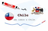 Chile - turma 1008