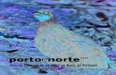 Guia de Observação das Aves do Norte de Portugal