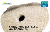 Moínhos da Tia Antoninha - Eduardo Rocha