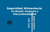 Seguridad Alimentaría en Brasil: Avances y Discontinuidades Walter Belik Universidade Estadual de Campinas, Brasil.