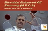 Microbial Enhanced Oil Recovery M.E.O.R