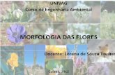 Aula 4 - Morfologia Das Flores