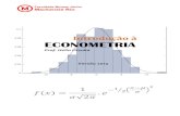 Apostila Econometria 2013