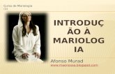 Introdução à mariologia (2012)