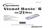 Aprenda Visual Basic en 21 Dias