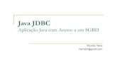 JAVA JDBD - Aplicação Java com Acesso a um SGBD