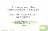 A Look on the Productive Reality Apple Brazilian Scenario Pierre Nicolas Pérès Associação Brasileira de Produtores de Maçã ABPM Madrid 21 st. October 2011.
