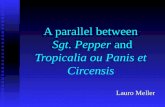A parallel between Sgt. Pepper and Tropicalia ou Panis et Circensis Lauro Meller.