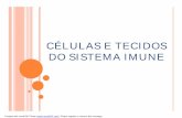 extra - Células e Tecidos do Sistema Imune