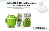 Palestra sobre Android SDK/NDK e vídeo captura.
