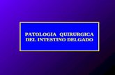 Patologia Benigna de Intestino Delgado