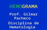 HEMOGRAMA  2007