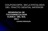 COLPOSCOPÍA EN LA PATOLOGIA DEL TRACTO GENITAL INFERIOR RESIDENCIA DE TOCOGINECOLOGIA CLINICA DEL SOL 2011 LUCIANO PERGOLESI.
