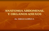 ANATOMIA ABDOMINAL Y ORGANOS ANEXOS Dr. DIEGO LOPEZ Z.