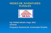 REDES DE JUVENTUDES RURALES Ing. Rafael Mesén Vega, MSc Gerente Programa Nacional de Juventudes Rurales.