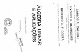Álgebra Linear e Aplicações - Callioli, Domingues e Costa - 6ª Edição